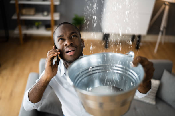 Best Water damage restoration process  in Ordway, CO