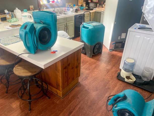 Best 24-hour water damage restoration  in Ordway, CO