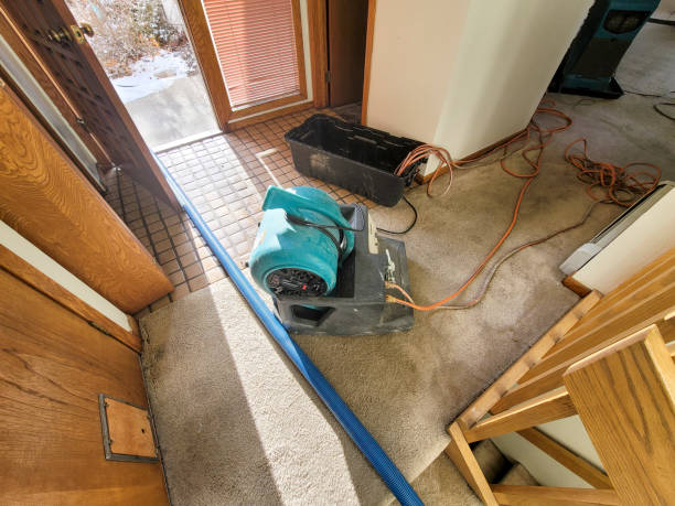 Best Water damage contractors near me  in Ordway, CO