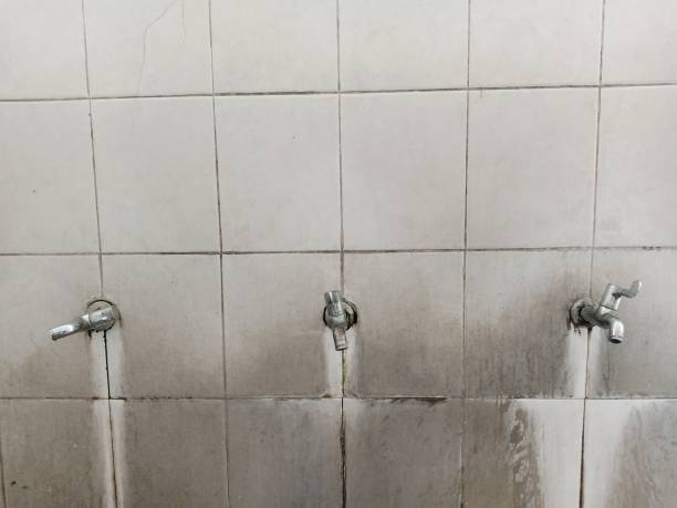 Best Professional water damage repair  in Ordway, CO