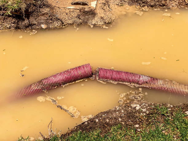 Water damage restoration mold remediation in Ordway, CO